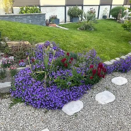 La Petite Maison De Jane 2*