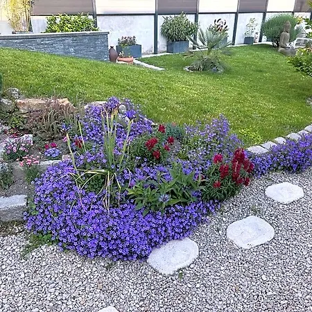 La Petite Maison De Jane Pensión